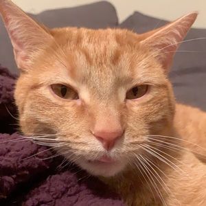 Meet your Posher, Daniella